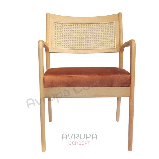 Wooden Armchair with Sun Hazer